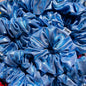 Scrunchie Antonia