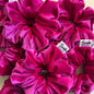 Scrunchie fucsia velvet