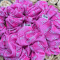 Scrunchie animado Barbie