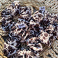 Scrunchie vaquita 🐄